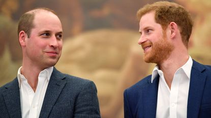 Prince Harry and Prince William 