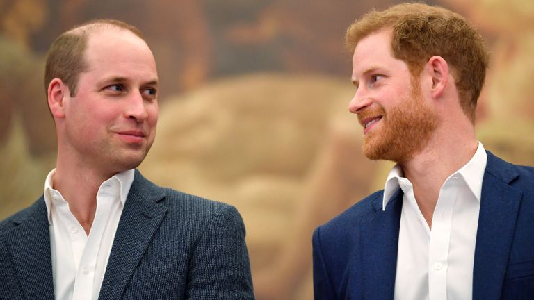 Prince Harry and Prince William