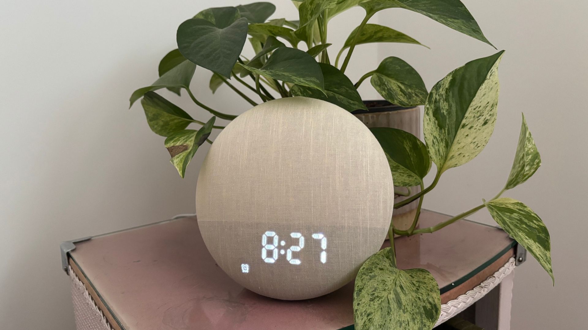 The circular Dreamegg Sunrise 2 sunrise alarm clocks sits on a nightstand in natural daylight, placed next to a green pot plant. The display time read: 8:27