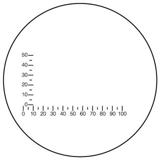 Scale image to represent eyepiece image in Nikon binoculars