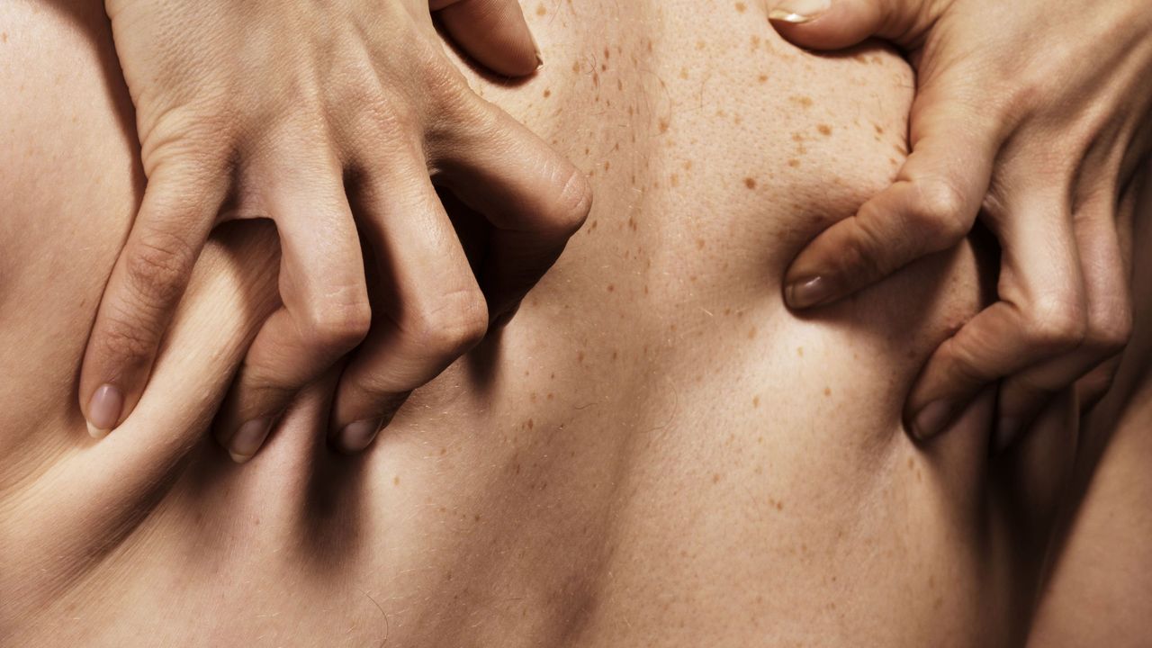 close-up of hands digging into person&#039;s back