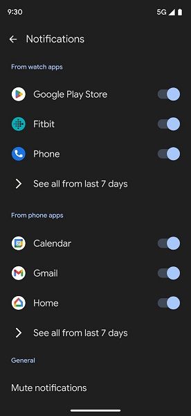 Google Pixel Watch app