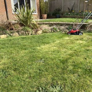 Einhell cordless lawn mower on a terraced lawn cutting the borders