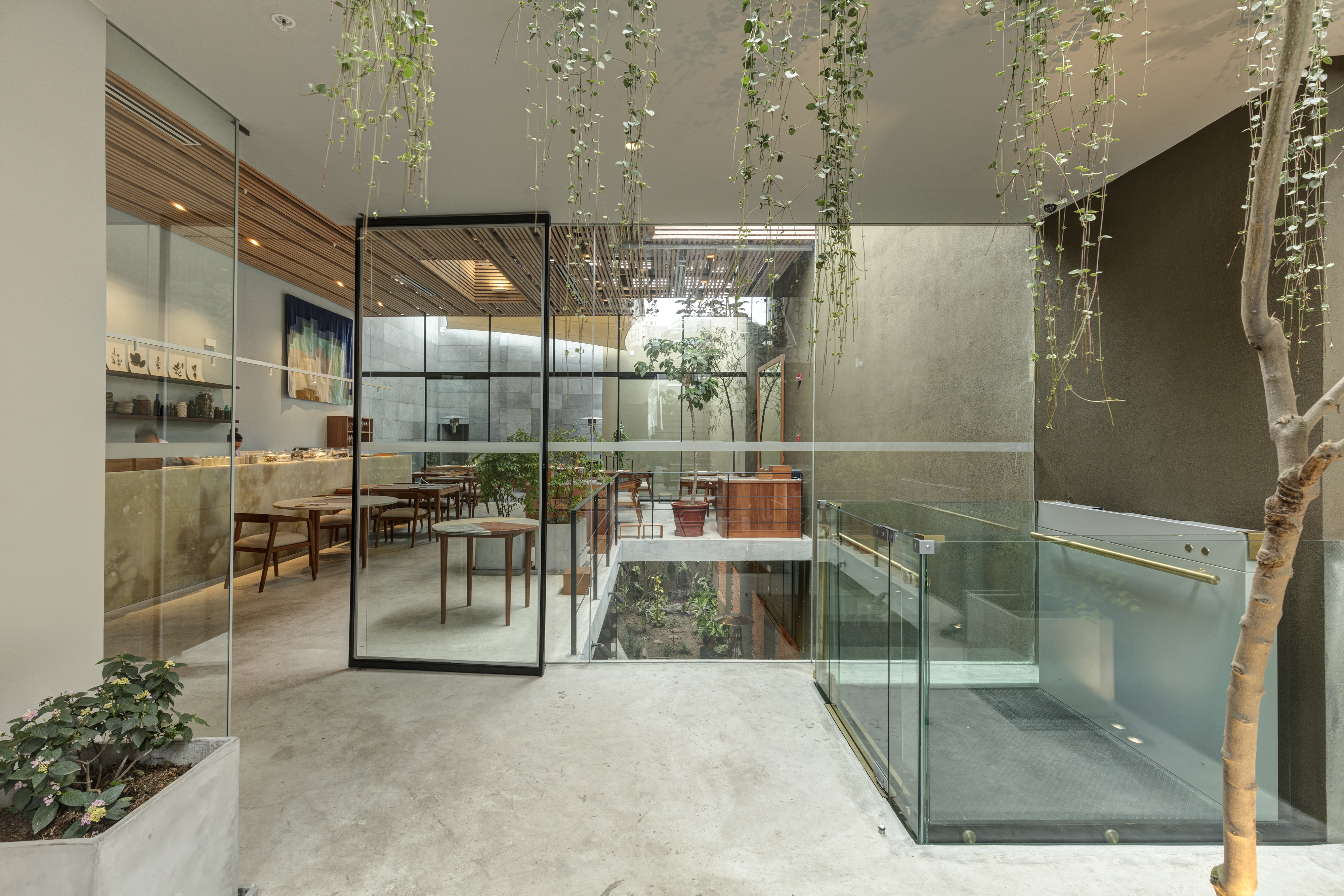 A glassy restaurant interior with trailing plants pending from the ceiling, a gray pavement, wooden details, and abstract artworks, all nestled within a brutalist architecture.