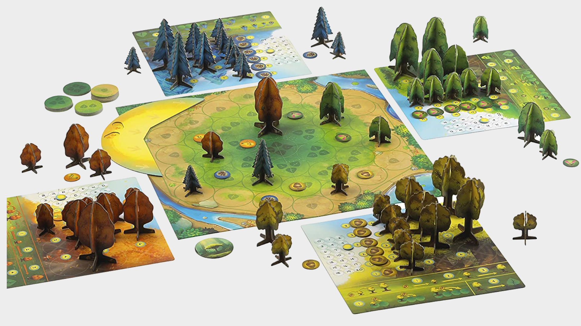 Photosynthesis board game