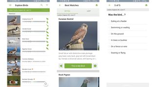 Screenshots of Merlin Bird ID on Android