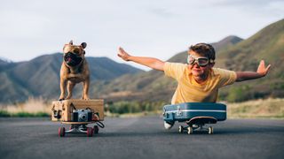 French bulldog and boy on skateboards