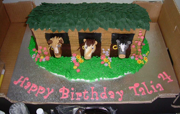 &amp;ldquo;This one was made by a friend of mine for my daughter&amp;rsquo;s birthday&amp;rdquo; &amp;mdash;Tracy O&amp;rsquo;Hara