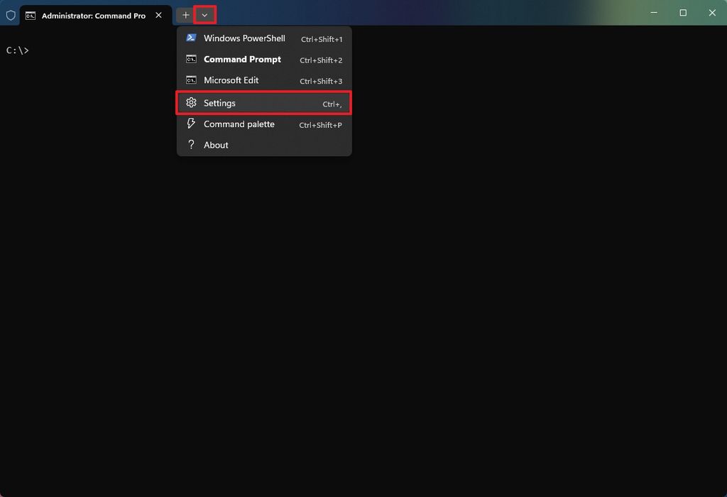 Terminal open settings
