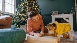 Dog and woman opening a Christmas present together in front of a Christmas tree and in front of a fire place