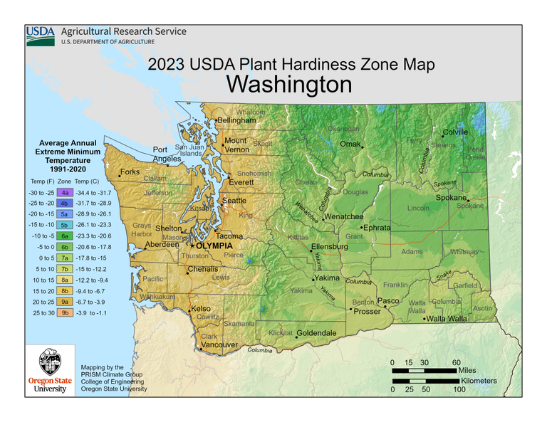 Washington Climate Zones USDA Map For Plant Hardiness  Gardening Know How