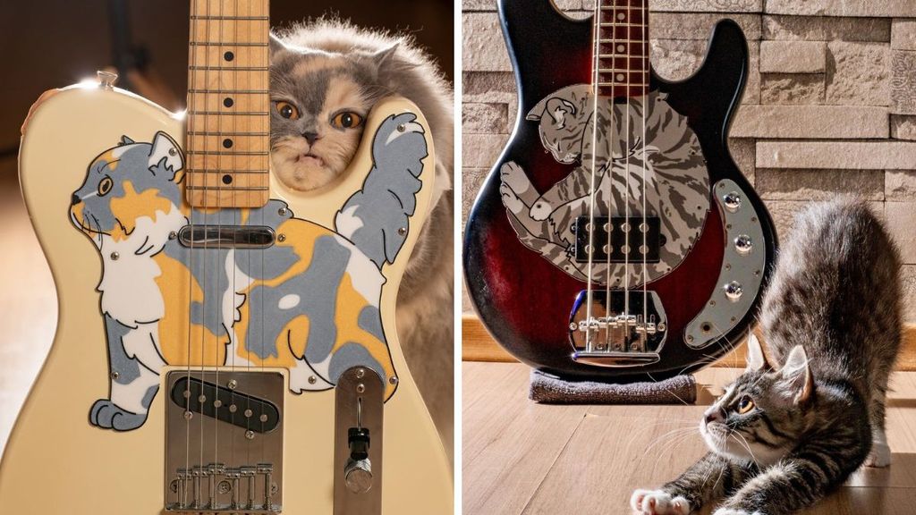 This Etsy shop makes pickguards in the shape of your cat | Guitar World