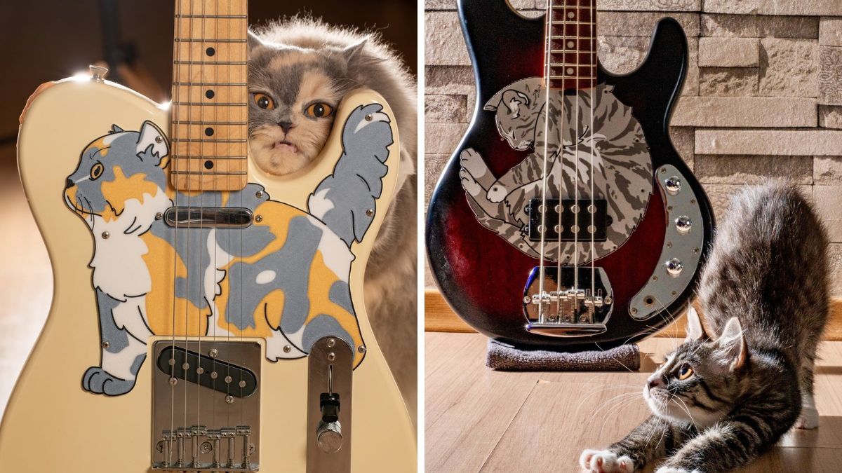 This Etsy shop makes pickguards in the shape of your cat | Guitar