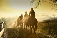 racehorse aftercare levy funding