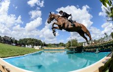 James Whitaker riding GLENAVADRA BRILLIANT winner of The BHS Queen Elizabeth II Cup during The Longines FEI Jumping Nations Cup&trade; of Great Britain at the BHS Royal International Horse Show 2018