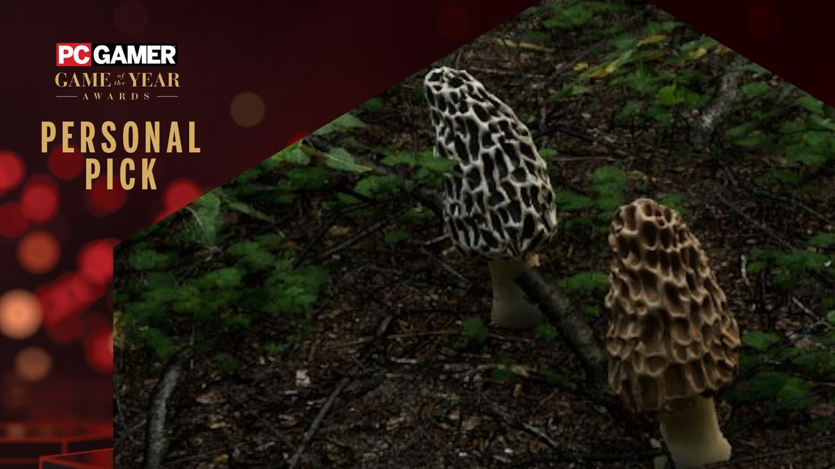 Morels: The Hunt 2