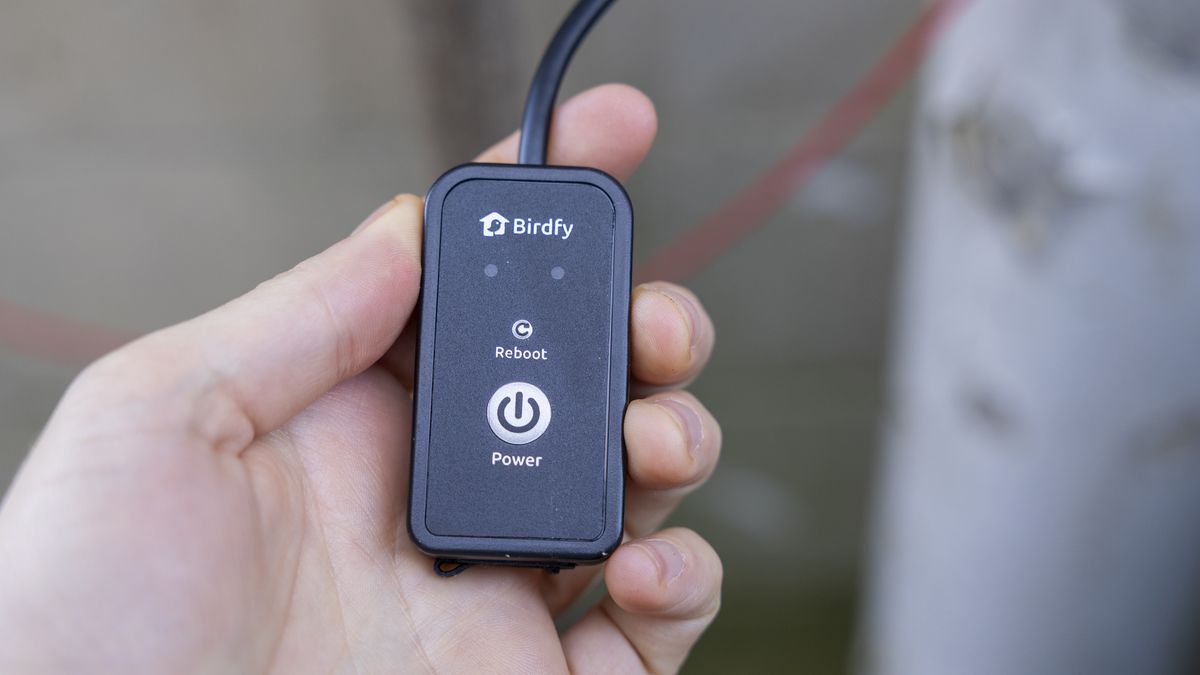 The Birdfy Nest Duo remote held in a female hand