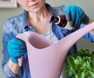 adding liquid plant food to watering can for houseplants