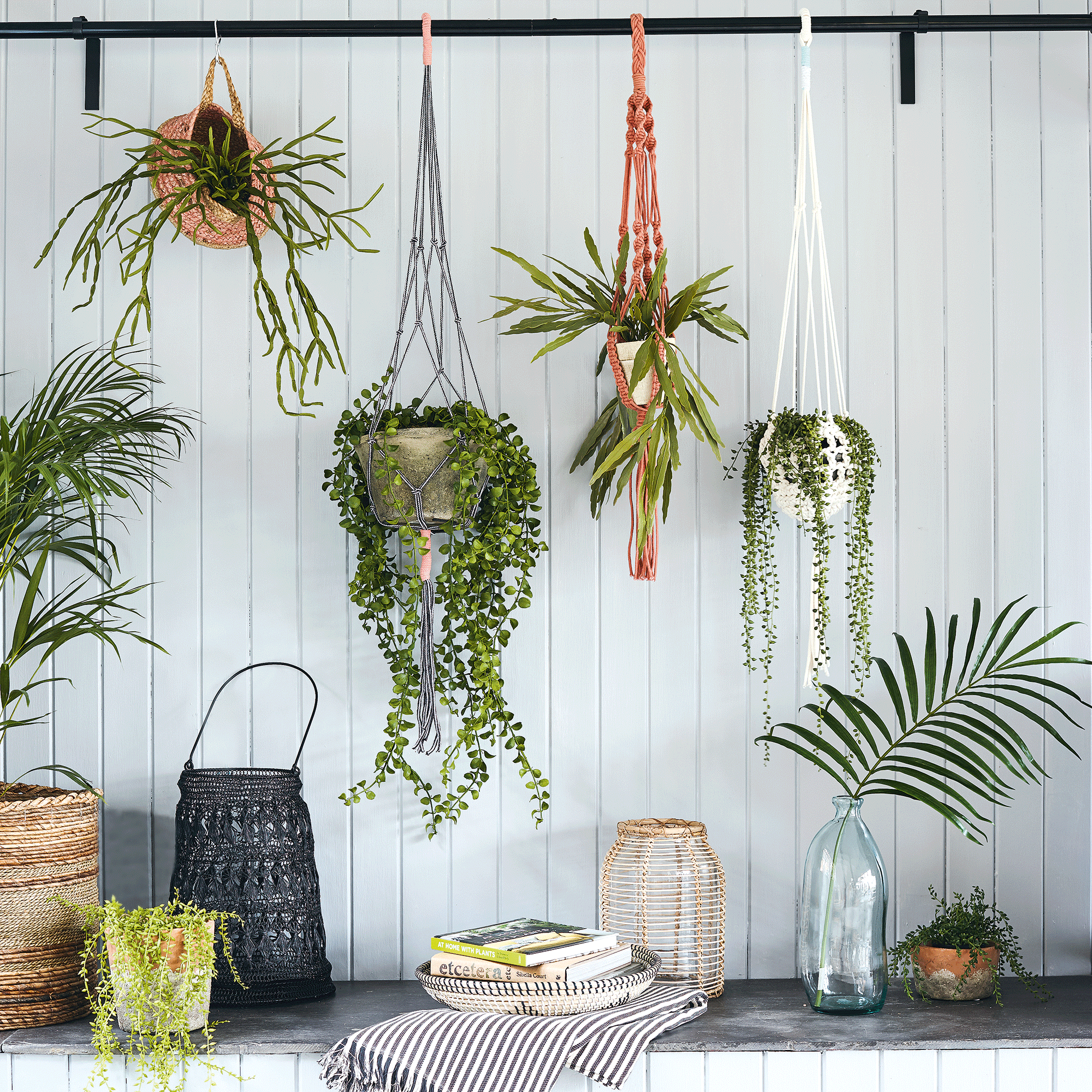 Houseplants hanging from rail 