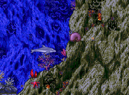 ecco the dolphin