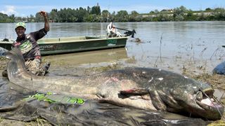 Alessandro Biancardi poses with his massive catch, a 9.4-foot-long wels catfish, on the banks of the River Po.