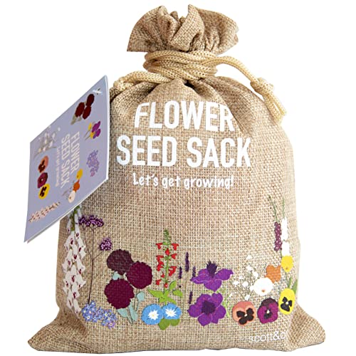 Scott&amp;amp;co. Flower Seed Variety Pack - 30 Different Varieties of Flower Seeds to Grow Your Own. Butterfly and Bee Attracting, Grow Indoor and Outdoor. Father's Day Gardening Gifts for Women and Men.