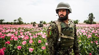 A solider standing in a field of flowers