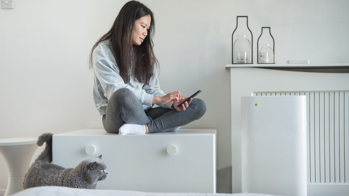 Are air purifiers safe for pets? Live Science