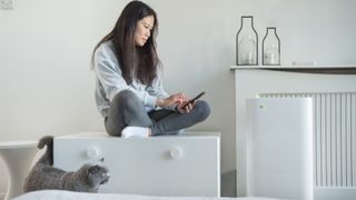 Are air purifiers safe for pets: image of air purifier, woman and cat