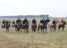 Hunt-02.jpg