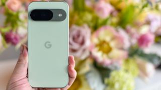 Google Pixel 9 in verde invierno