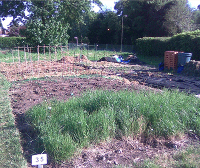 allotment-progresss.gif