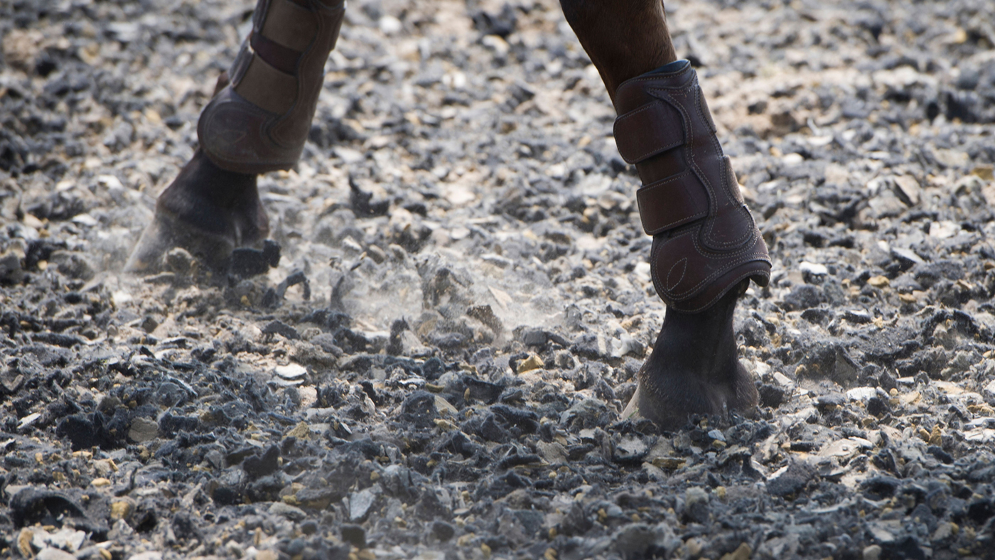 horse-legs-alamy-DA2NHJ.jpg