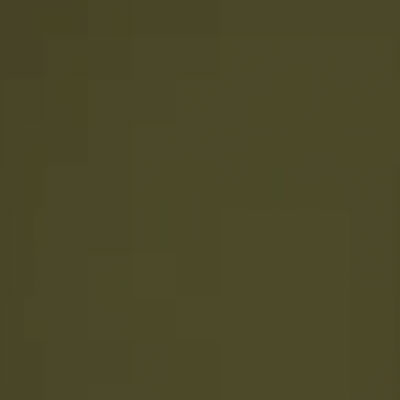 olive green paint from Dunelm