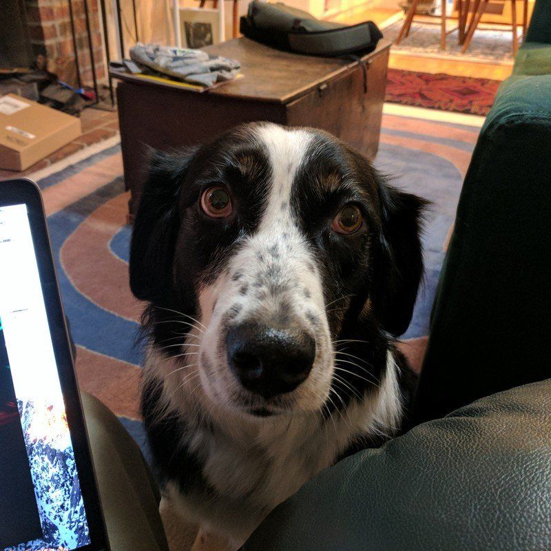 Google Pixel camera sample