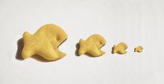Goldfish crackers with open mouths eating each other in a food chain