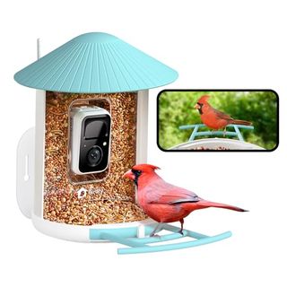 Netvue by Birdfy Smart Bird Feeder With Camera, Bird Watching Camera, Auto Capture Bird Videos & Motion Detection, Wireless Bird Feeders for Outdoors, Ideal Present for Bird Lover, Blue