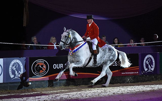Allister Hood riding OUR CASHEL BLUE owned by Caroline Tyrrell, Champion in the Supreme Horse of The Year Championship during HOYS in the NEC in Warwickshire in the UK on 9th October 2016