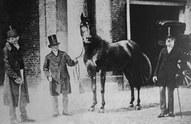 Sledmere Stables 6