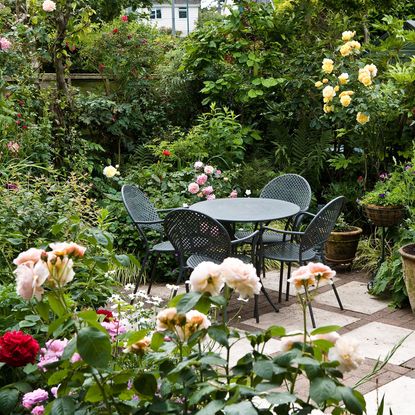 Top 10 Emerging Garden Trends For This Year – Inspired By Instagram 