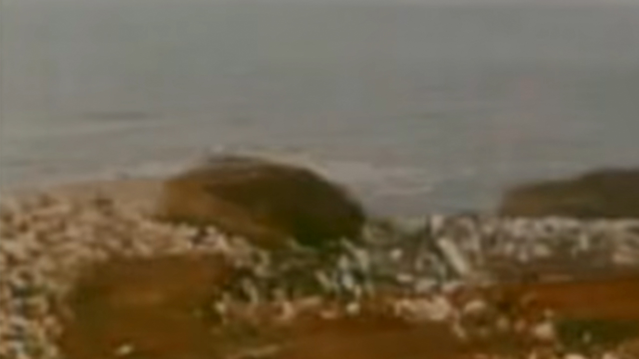 The supposed cliff as shown in White Wilderness where the lemmings leapt to their death
