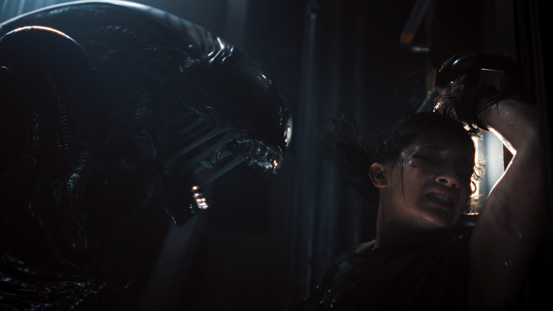 Rain reacts in terror as a xenomorph screams at her in Alien: Romulus