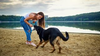 Young woman playing with dog in park