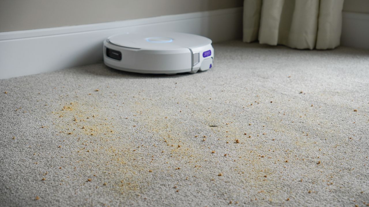 Crumb mix on a carpeted floor before the suction test