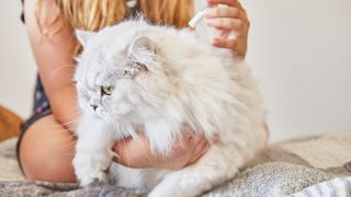 Woman applying flea treatment to cat