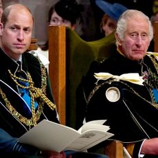 Prince William and King Charles wearing ceremonial robes and military medals