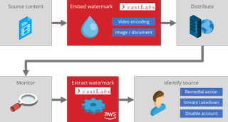 castLabs DRM visualization