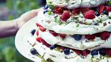 Meringue stack with summer berries on a plate with outdoor greenery in the background