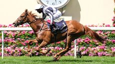 Best day to go to Royal AscotAlpine Star ridden by Frankie Dettori wins the Coronation Stakes during day five of Royal Ascot.