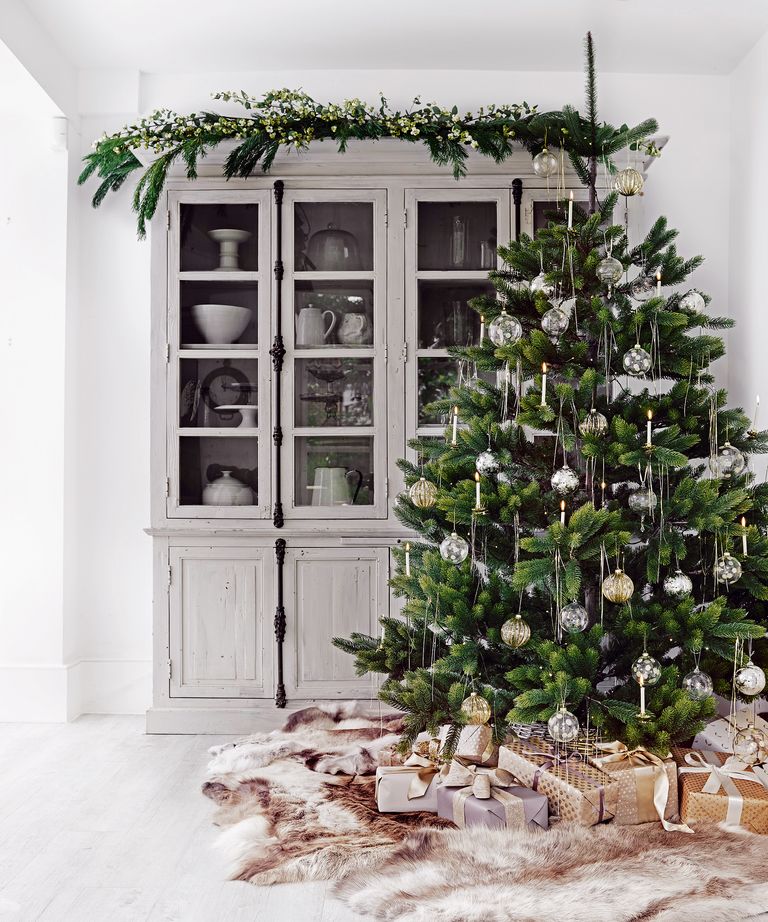 How to care for a Christmas tree Homes & Gardens